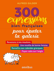 Rich Results on Google's SERP when searching for '300 expressions bien françaises pour épater la galerie'