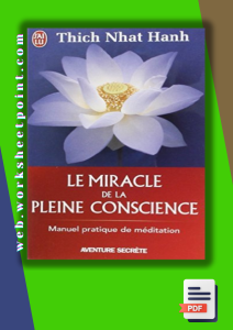 Rich Results on Google's SERP when searching for 'Le Miracle de la pleine conscience Manuel pratique de méditation.'